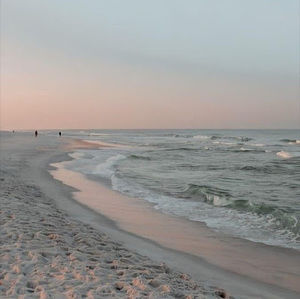 Meet your Posher, Isabel